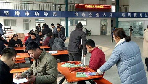 莘县求职指南：抓住机遇驶向未来